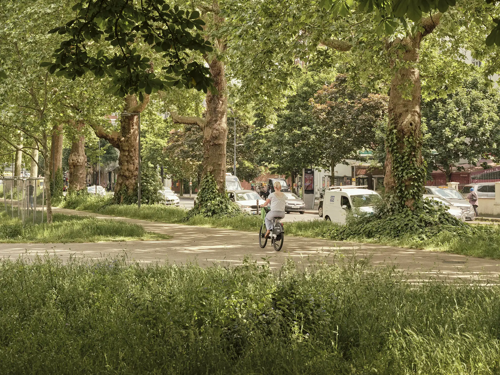 A person riding a bicycle on a paved path through a green park with large trees and cars in the background.